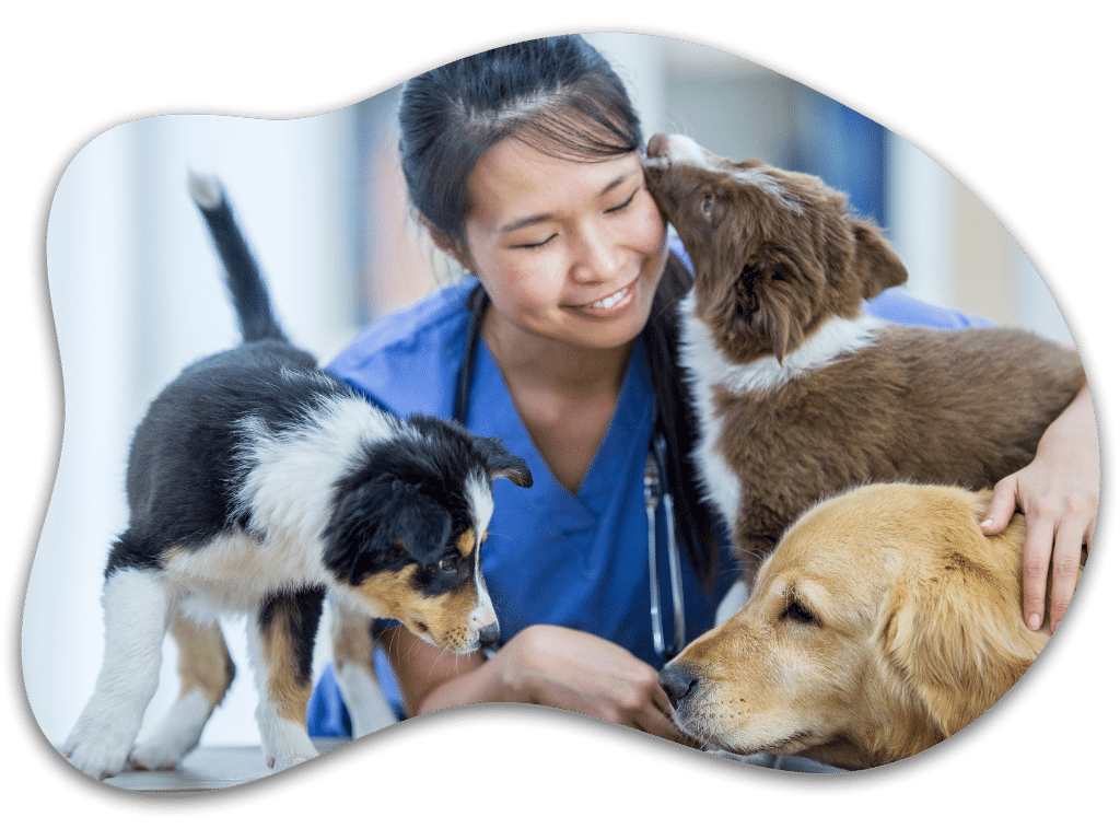 Veterinarian with Dogs