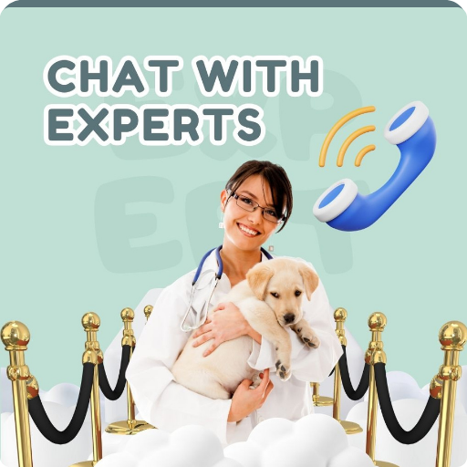chat with dog experts
