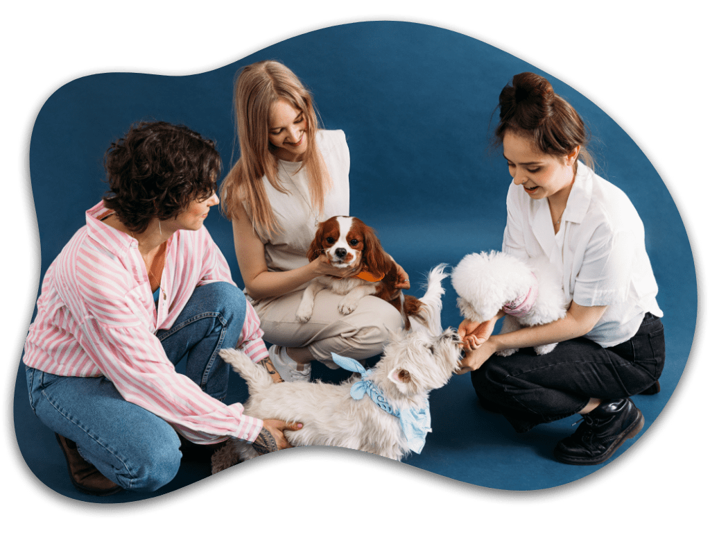 experience the community of dog owners