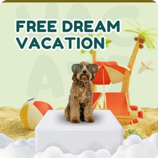 win free dream vacation